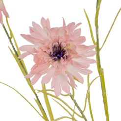 Pink Cornflower Stem - image 3