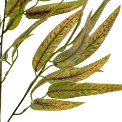 Variegated Long Leaf Eucalyptus Spray - image 3