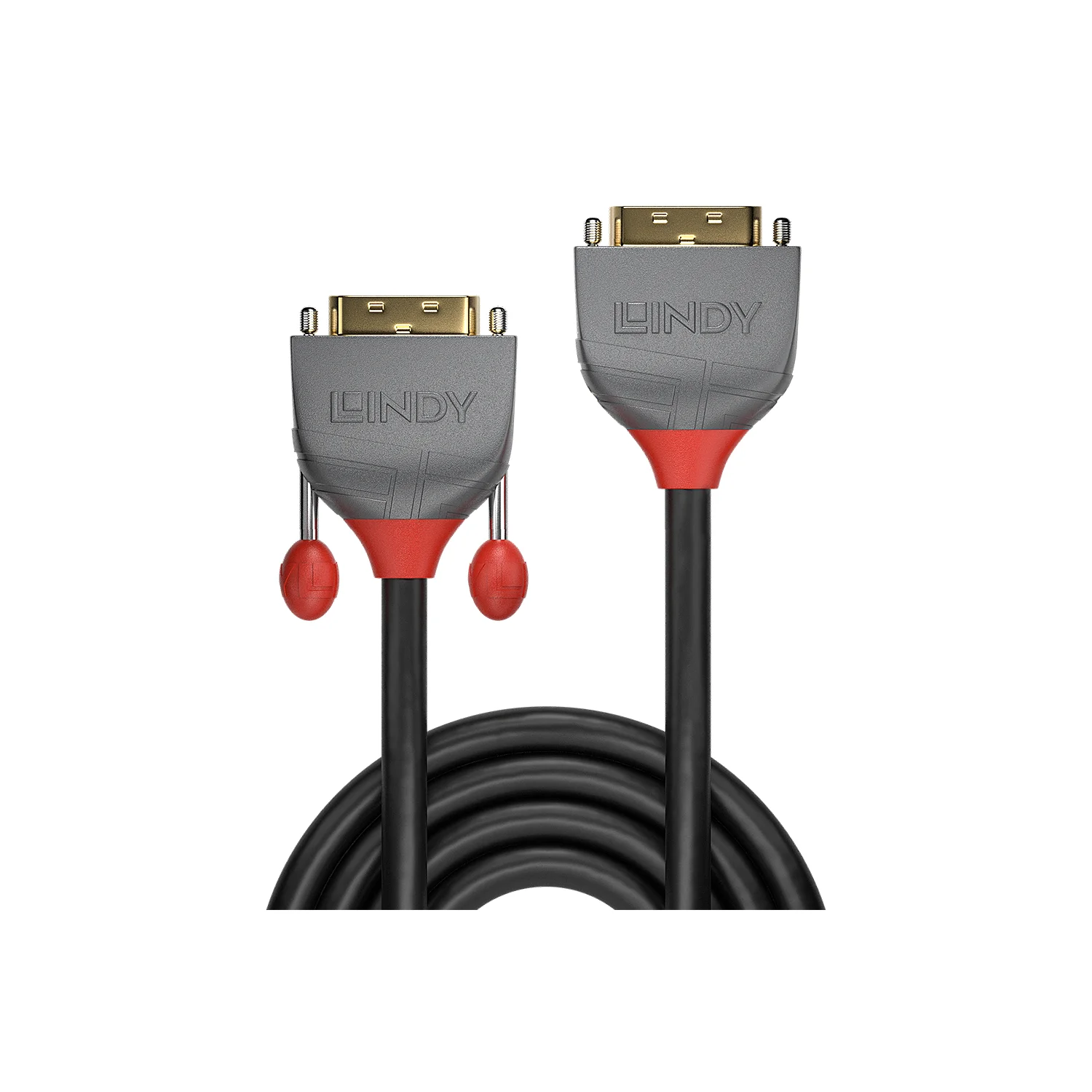 Lindy 0.5m DVI-D Dual Link Extension Cable, Anthra Line - image 2