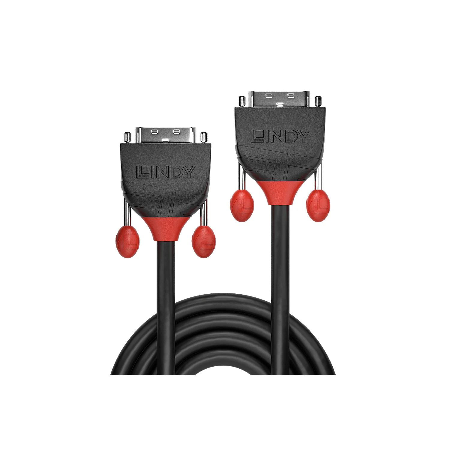 Lindy 1m DVI-D Dual Link Cable, Black Line - image 2