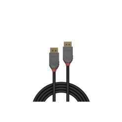 Lindy 1m DisplayPort 1.4 Cable, Anthra Line - image 2