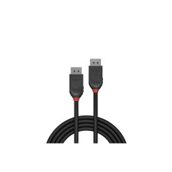 Lindy 2m DisplayPort 1.2 Cable, Black Line - image 2