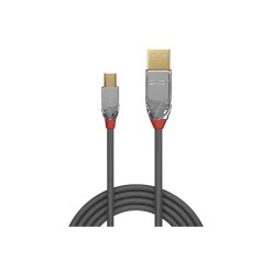 Lindy 3m USB 2.0 Type A to Mini-B Cable, Cromo Line - image 2
