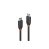 Lindy 0.5m USB 3.2 Type C to C Cable, 20Gbps, Black Line