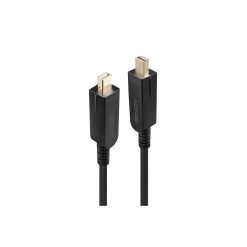 Lindy 50m Fibre Optic Hybrid Mini DisplayPort 1.4 Cable with Detachable DP Connectors - image 2