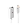 Lindy Mini DisplayPort 1.2 to HDMI 18G with HDR Active Converter