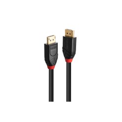Lindy 5m Active DisplayPort 1.4 Cable