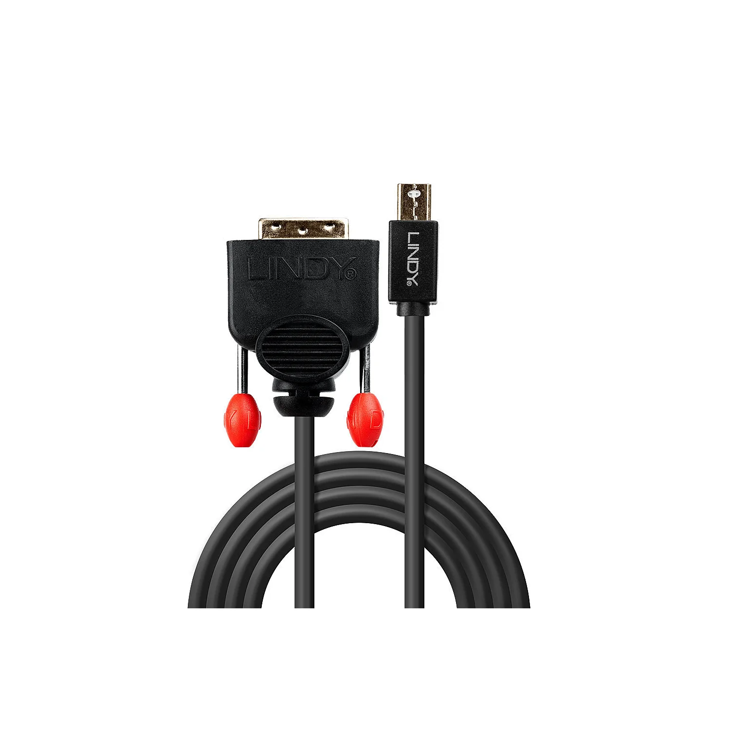 Lindy 0.5m Mini DisplayPort to DVI Cable, Black - image 2
