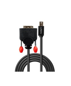 Lindy 2m Mini DisplayPort to DVI Cable, Black