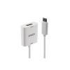 Lindy USB Type C to DisplayPort Adapter