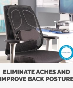 Fellowes Back Support for Office Chair - Professional Series Mesh Office Chair Back Support - Easy To Attach - H19.53 x W30.32 x D36.99cm