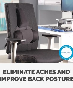 Fellowes Back Support for Office Chair - Professional Series Ultimate Back Support with Antibacterial Protection - H36.5 x W37.5 x D5.5cm