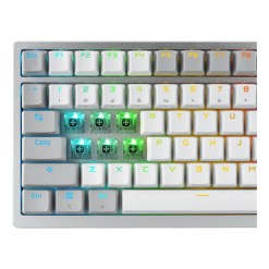 ASUS ROG Azoth keyboard Gaming USB + RF Wireless + Bluetooth White - image 7