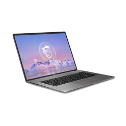 MSI Creator Z17 HX STUDIO A13VFT-213UK Intel® Core™ i7 i7-13850HX Laptop 43.2 cm (17