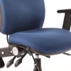 Chiro Height Adjustable And Foldaway Arm