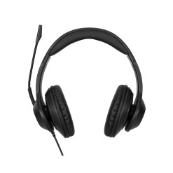 Targus AEH102GL headphones/headset Wired Head-band Calls/Music USB Type-A Black