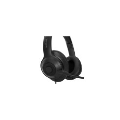 Targus AEH102GL headphones/headset Wired Head-band Calls/Music USB Type-A Black - image 3