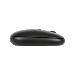 Targus AMB581GL mouse Ambidextrous RF Wireless + Bluetooth - image 7