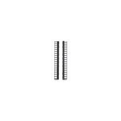 APC NetShelter Cable Management, Vertical Cable Manager, for NetShelter SX 600mm Wide 42U, Set of 2, 107 x 889 x 45 mm - image 2