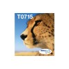 Epson Multipack 4-colours T071 EasyMail