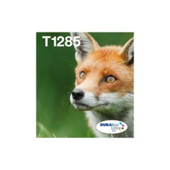 Epson Fox Multipack 4-colours T128 EasyMail