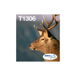 Epson Stag Multipack 3-colours T1306 DURABrite Ultra Ink EasyMail