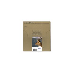Epson Stag Multipack 3-colours T1306 DURABrite Ultra Ink EasyMail - image 2