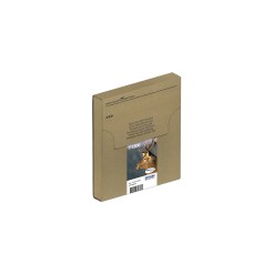 Epson Stag Multipack 3-colours T1306 DURABrite Ultra Ink EasyMail - image 3
