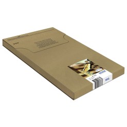 Epson Pen and crossword Multipack 4-colours 16XL EasyMail - image 3