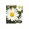 Epson Daisy Multipack 4-colours 18 EasyMail