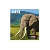 Epson Multipack 6-colours 24XL EasyMail