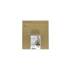 Epson Polar bear Multipack 4-colours 26 EasyMail - image 2