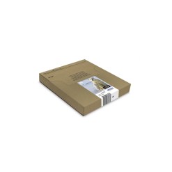 Epson Polar bear Multipack 4-colours 26 EasyMail - image 4