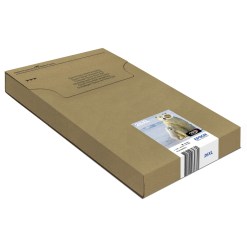 Epson Polar bear Multipack 4-colours 26XL EasyMail - image 3