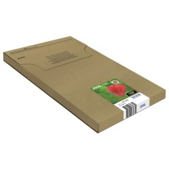 Epson Strawberry Multipack 4-colours 29XL EasyMail - image 3