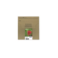 Epson Strawberry Multipack 4-colours 29XL EasyMail - image 4