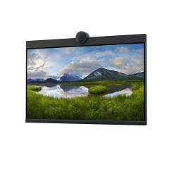 DELL P2424HEB 60.5 cm (23.8