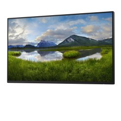 DELL Pro Plus P2425H_WOST computer monitor 61 cm (24