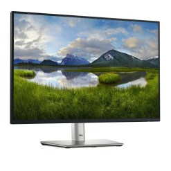 DELL Pro Plus P2425 computer monitor 61.1 cm (24.1