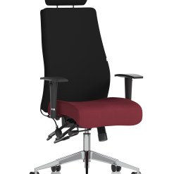 Onyx High Back Ergonomic Posture Chair with Height Adjustable Arms - image 6