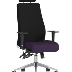 Onyx High Back Ergonomic Posture Chair with Height Adjustable Arms - image 8