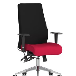 Onyx High Back Ergonomic Posture Chair with Height Adjustable Arms - image 9