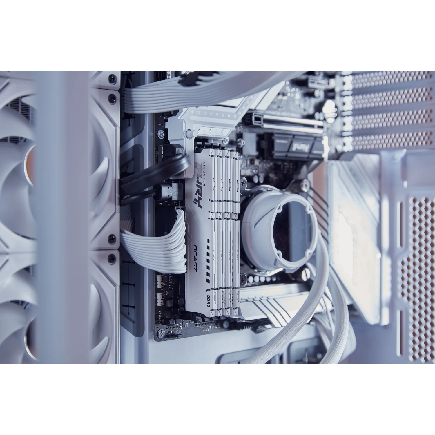 Kingston Technology FURY Beast 64GB 5600MT/s DDR5 CL40 DIMM (Kit of 2) White XMP - image 7