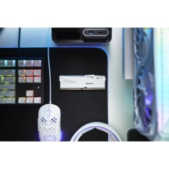 Kingston Technology FURY Beast 32GB 6400MT/s DDR5 CL32 DIMM White RGB EXPO - image 8