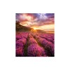 Samsung IF015E Transparent (mesh) LED Indoor