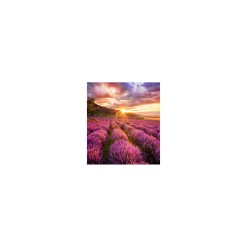 Samsung LH020IFHSAS/EN video wall display LED Indoor - image 6
