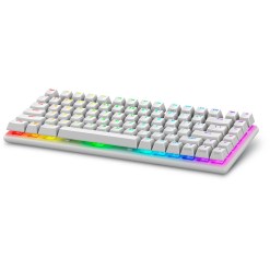 Dell Alienware Pro Wireless Gaming keyboard USB + RF Wireless + Bluetooth White