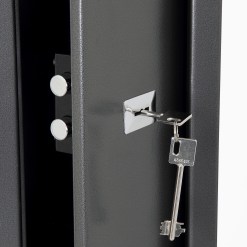 Phoenix Lacerta Gun Safe - image 2