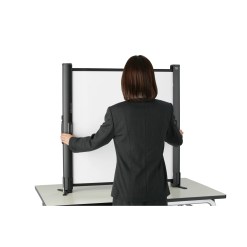Epson Screen (50