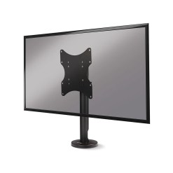 Lindy Single Display Fixed Desk Mount